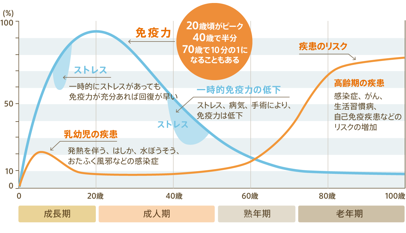 免疫力のピーク図　20歳頃がピーク40歳で半分70歳で10分の1になることもある