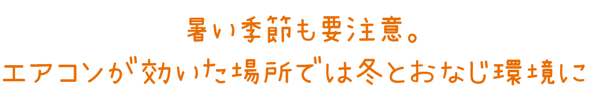 暑い季節も要注意。エアコンが効いた場所では冬とおなじ環境に。