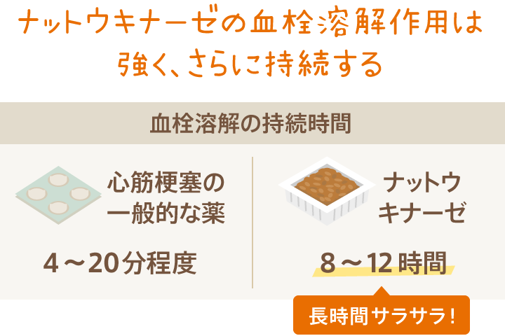 ナットウキナーゼの血栓溶解作用は強く、さらに持続する