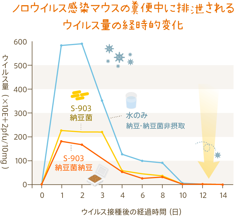 ノロウイルス感染マウスの糞便中に排泄されるウイルス量の経時的変化