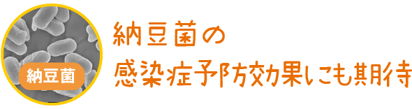 納豆菌の感染症予防効果にも期待