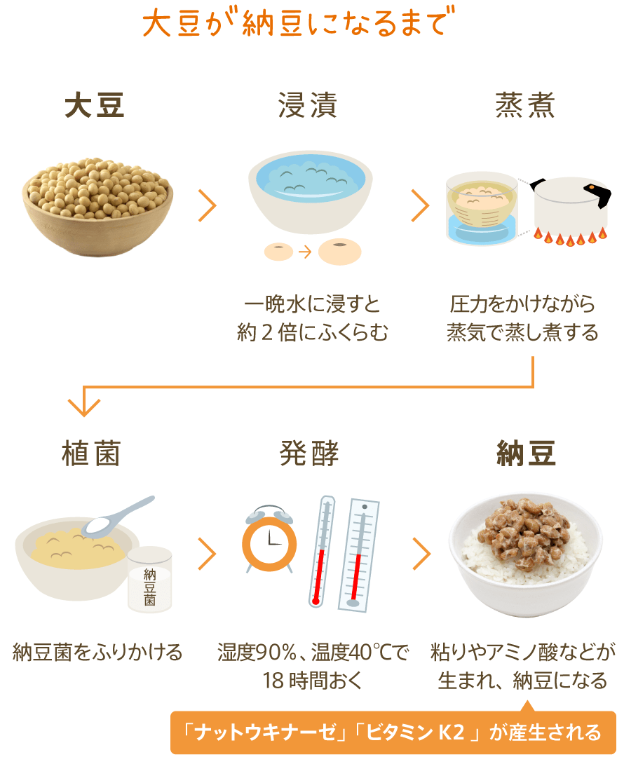 大豆が納豆になるまで 