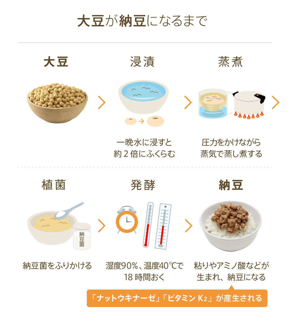 納豆は何にいいの？