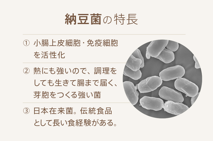 納豆菌の特長