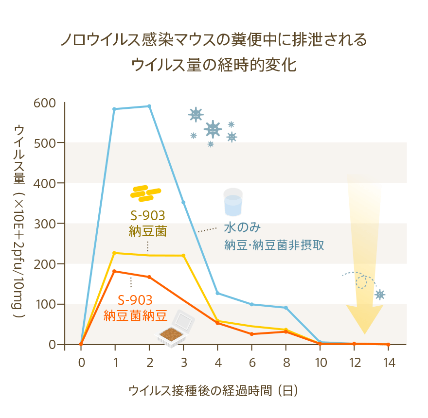 ノロウイルス感染マウスの糞便中に排泄されるウイルス量の経時的変化