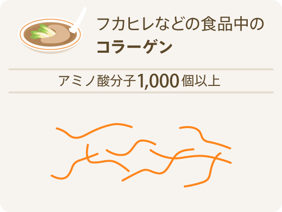 フカヒレなどの食品中のコラーゲン アミノ酸分子1,000個以上