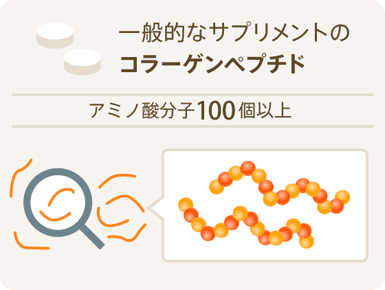 一般的なサプリメントのコラーゲンペプチド アミノ酸分子100個以上